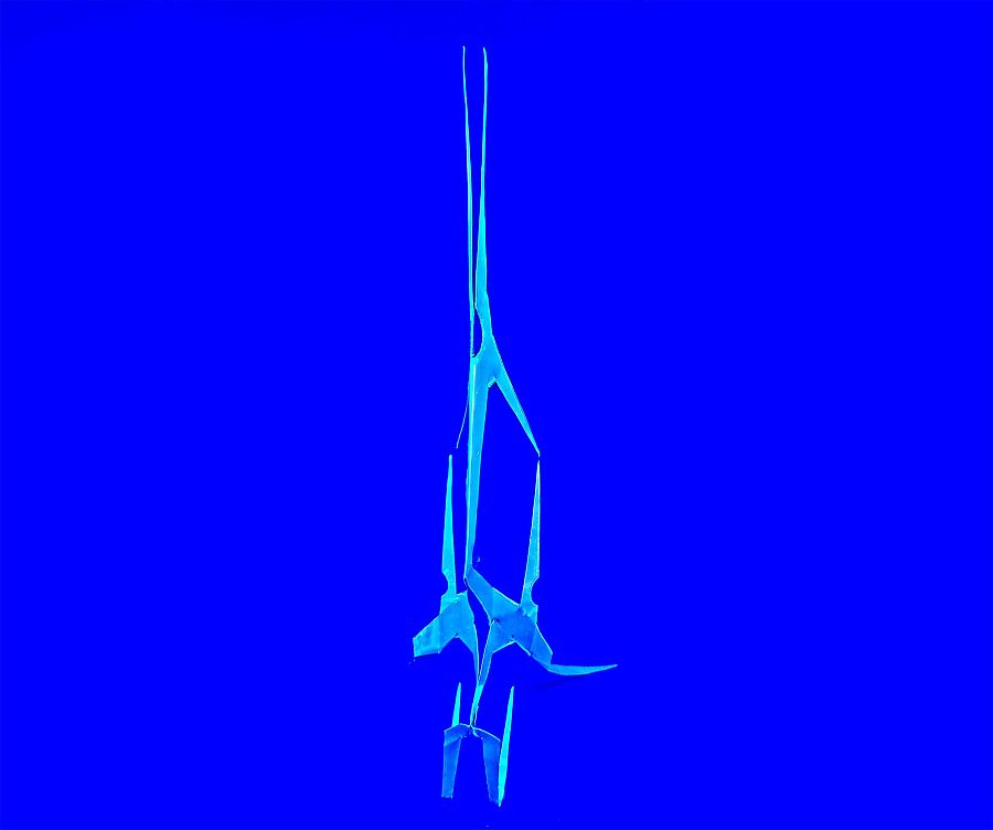 The Skull