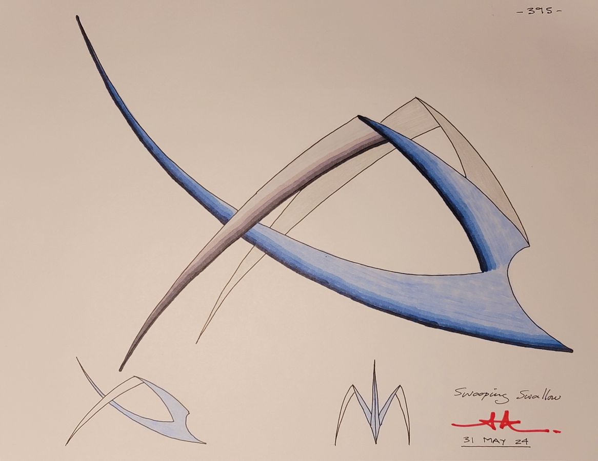 SWOOPING SWALLOW
