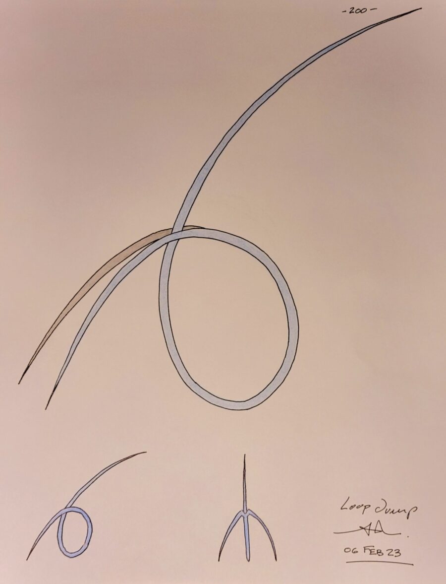 LOOP JUMP