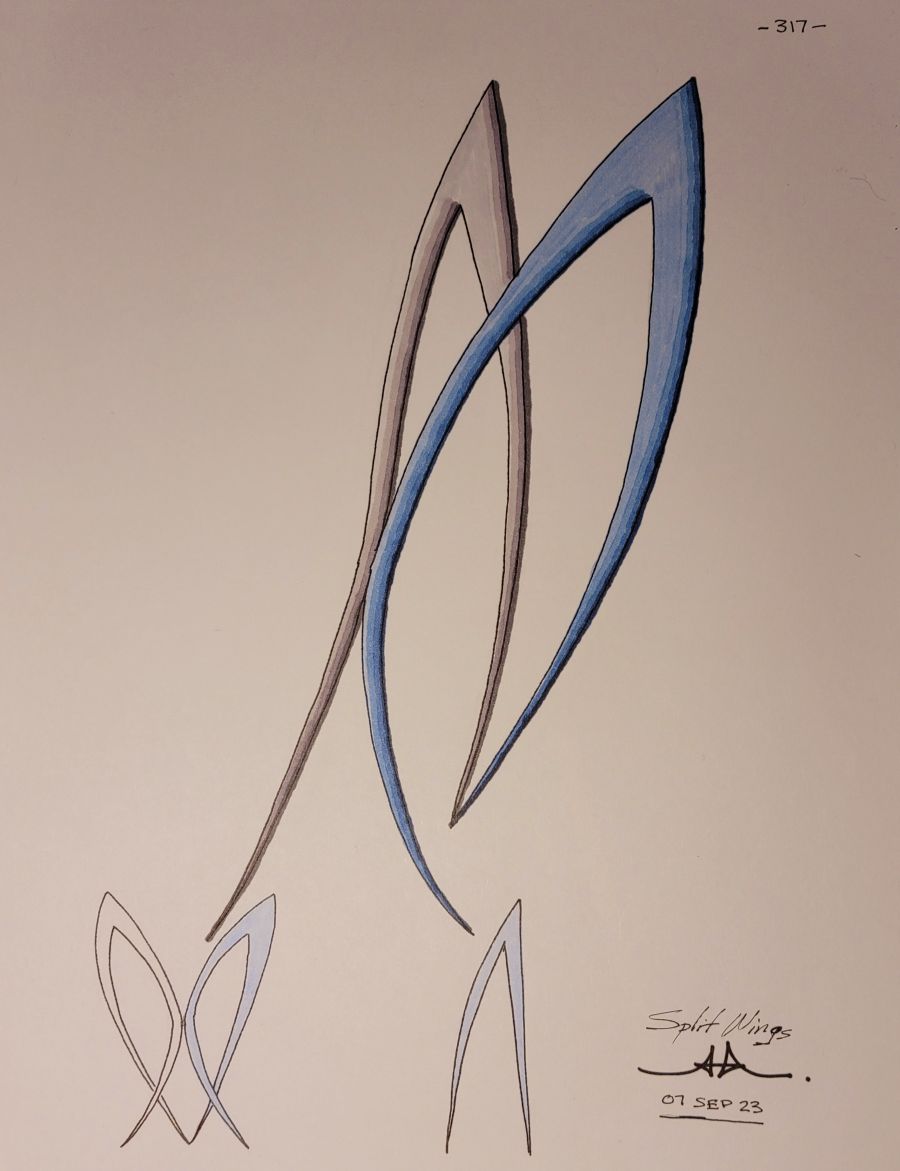 SPLIT WINGS